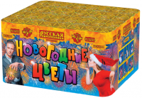 Новогодние цветы Фейерверк купить в Хотьково | hotkovo.salutsklad.ru