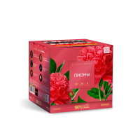 Пионы Салют купить в Хотьково | hotkovo.salutsklad.ru