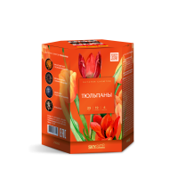 Тюльпаны Салют купить в Хотьково | hotkovo.salutsklad.ru