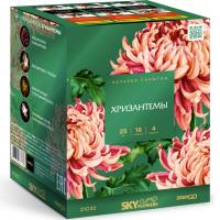 Хризантемы Фейерверк купить в Хотьково | hotkovo.salutsklad.ru