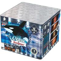 Косатка Фейерверк купить в Хотьково | hotkovo.salutsklad.ru