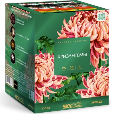 Хризантемы Фейерверк купить в Хотьково | hotkovo.salutsklad.ru